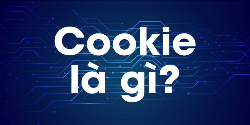 Tìm hiểu về chính sách cookie tại 8live
